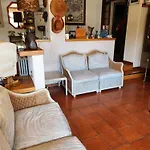 Edera 3*