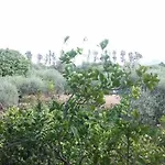Edera فندق مبيت وإفطار 3*