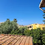 Edera 3*