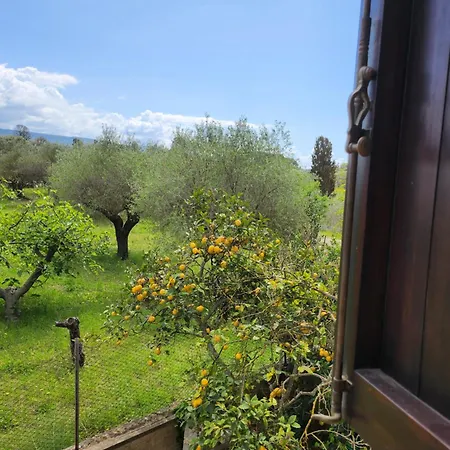 Edera Bed & Breakfast 2*