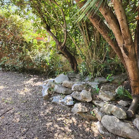 Edera לינה וארוחת בוקר 3*