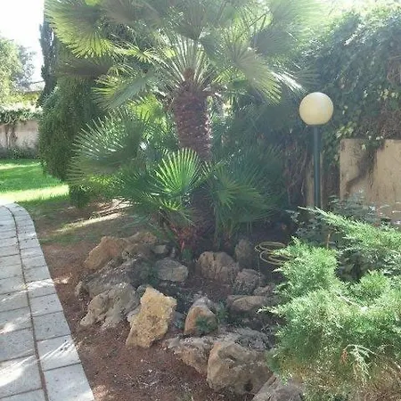 Edera אלגהרו