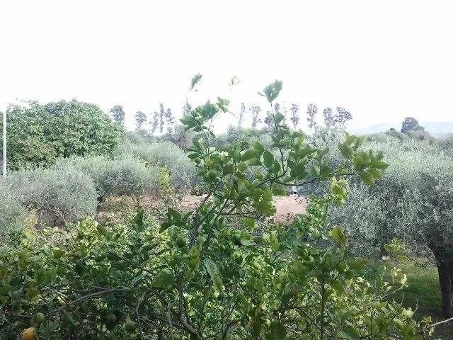 Edera Отель типа 