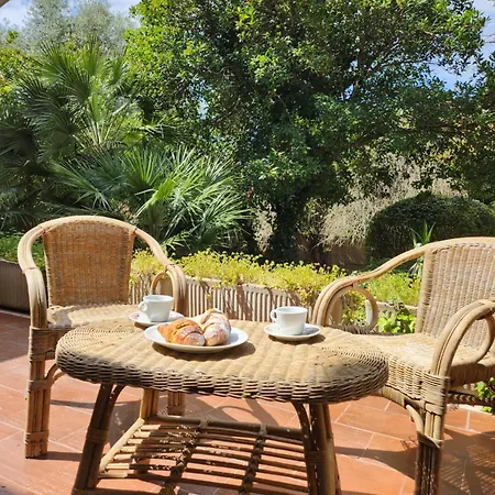 Bed & Breakfast Edera