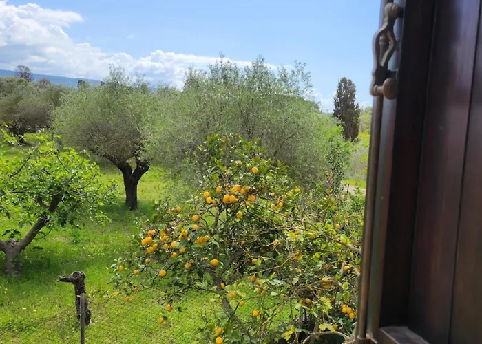 Edera Bed & Breakfast 3*